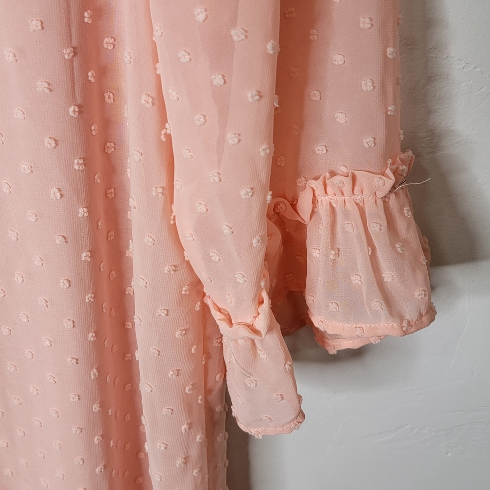 Peachy Pink Swiss Dot Dress with High Smocked Collar - Picture 4 of 7